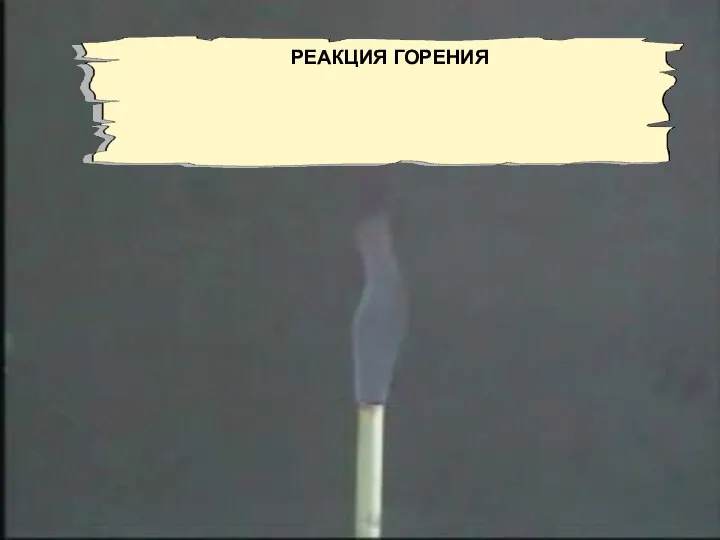 РЕАКЦИЯ ГОРЕНИЯ