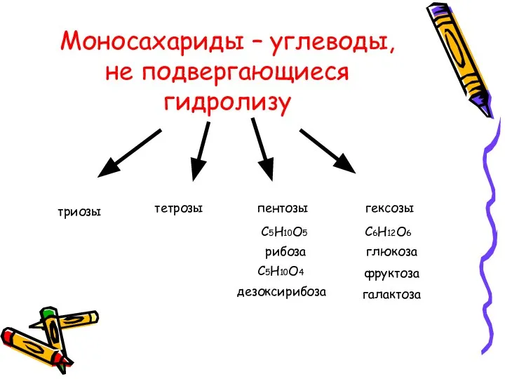 Моносахариды – углеводы, не подвергающиеся гидролизу триозы тетрозы пентозы гексозы C5H10O5