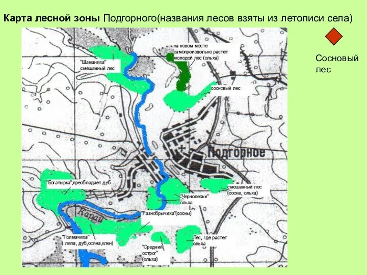 Карта лесной зоны Подгорного(названия лесов взяты из летописи села) + Сосновый лес
