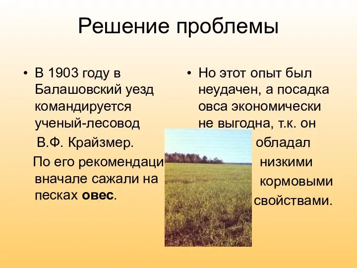 Решение проблемы В 1903 году в Балашовский уезд командируется ученый-лесовод В.Ф.