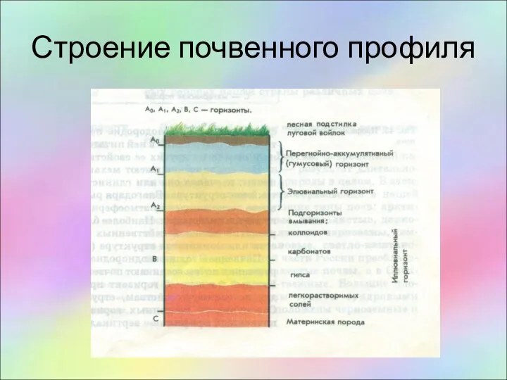 Строение почвенного профиля