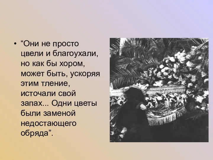 “Они не просто цвели и благоухали, но как бы хором, может