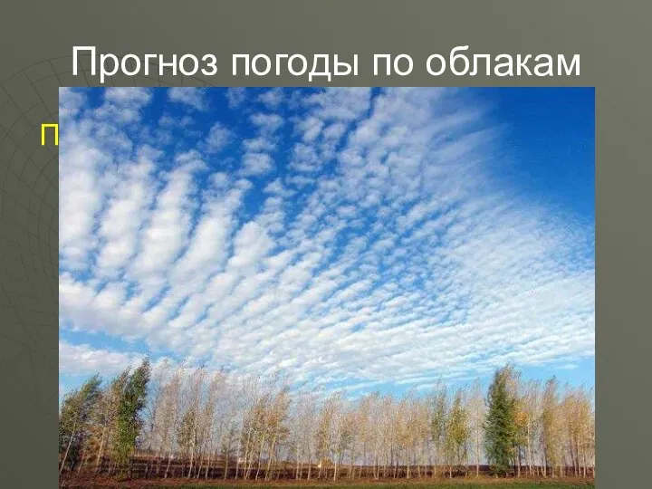 Прогноз погоды по облакам Перистые облака высоко в небе говорят о