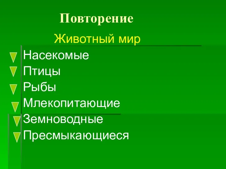 Повторение Животный мир Насекомые Птицы Рыбы Млекопитающие Земноводные Пресмыкающиеся