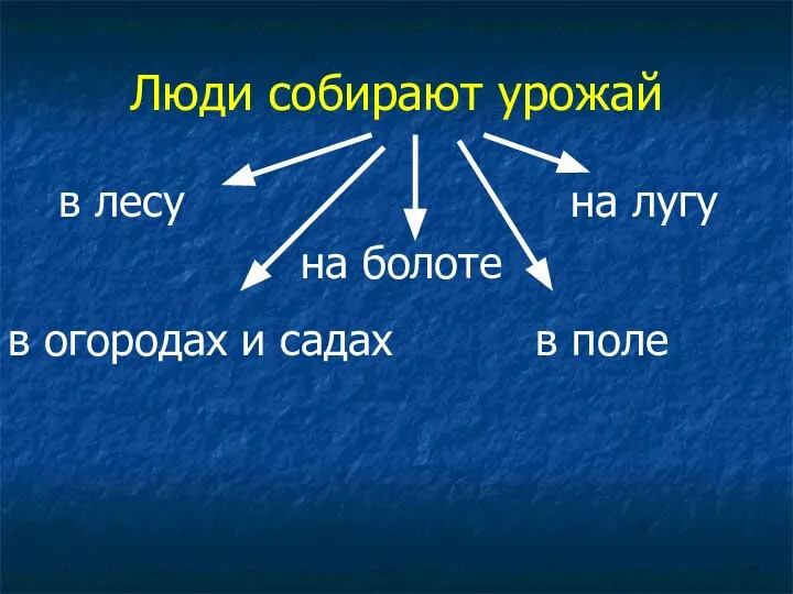 Люди собирают урожай в лесу на лугу на болоте в поле в огородах и садах