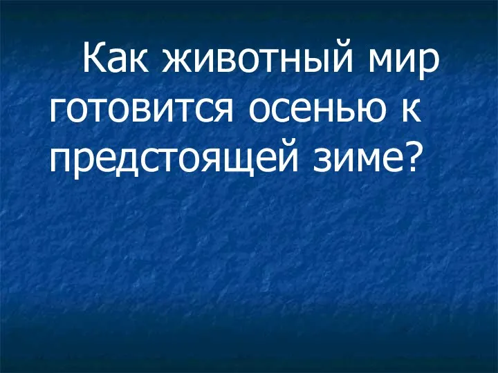 Как животный мир готовится осенью к предстоящей зиме?