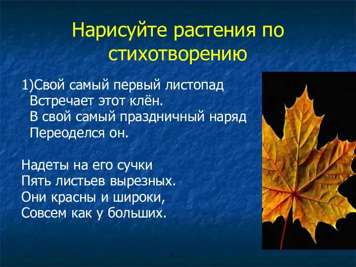 Нарисуйте растения по стихотворению 1)Свой самый первый листопад Встречает этот клён.