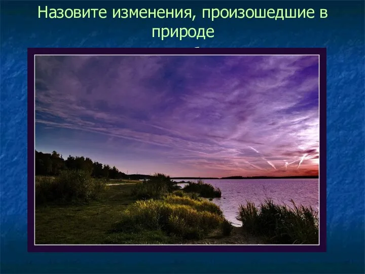 Назовите изменения, произошедшие в природе Перед закатом набежало Над лесом облако