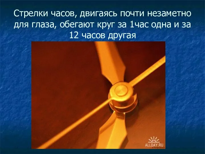 Стрелки часов, двигаясь почти незаметно для глаза, обегают круг за 1час