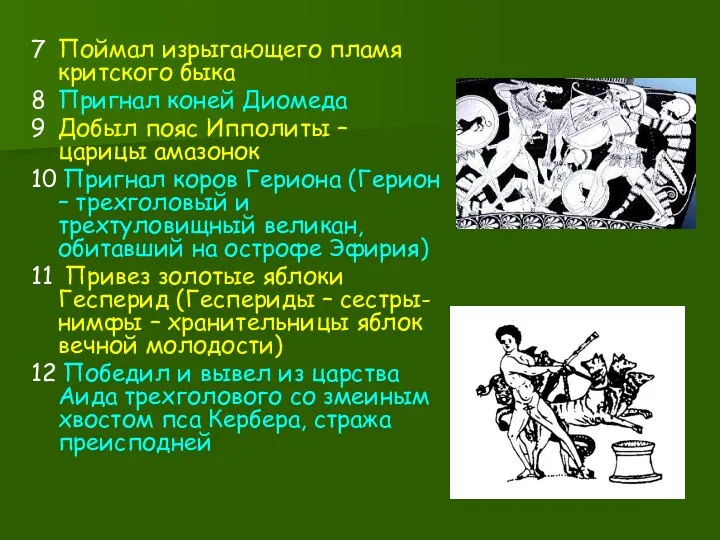 7 Поймал изрыгающего пламя критского быка 8 Пригнал коней Диомеда 9