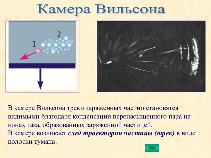 Камера Вильсона В камере Вильсона треки заряженных частиц становятся видимыми благодаря