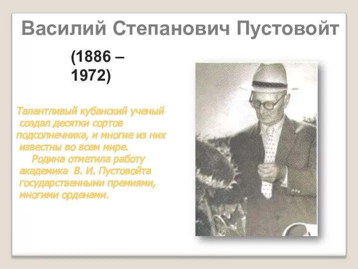 Василий Степанович Пустовойт Талантливый кубанский ученый создал десятки сортов подсолнечника, и