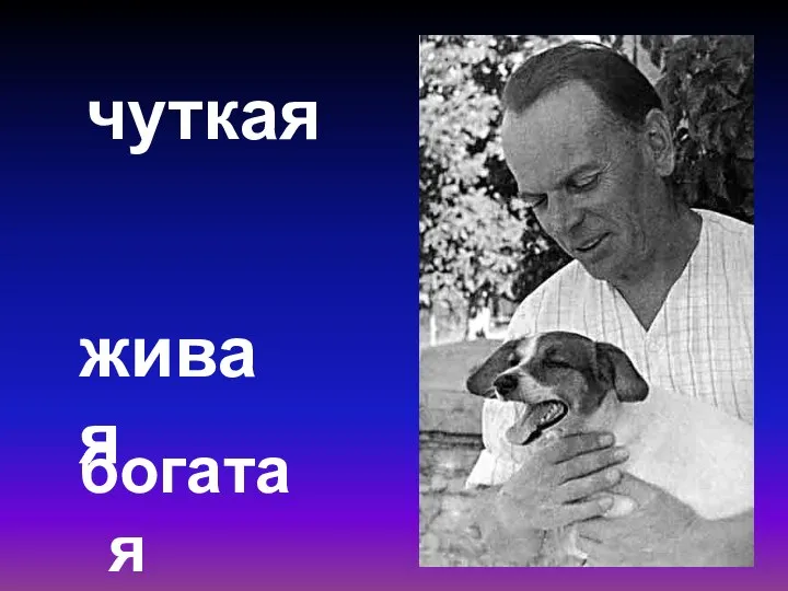 чуткая богатая живая