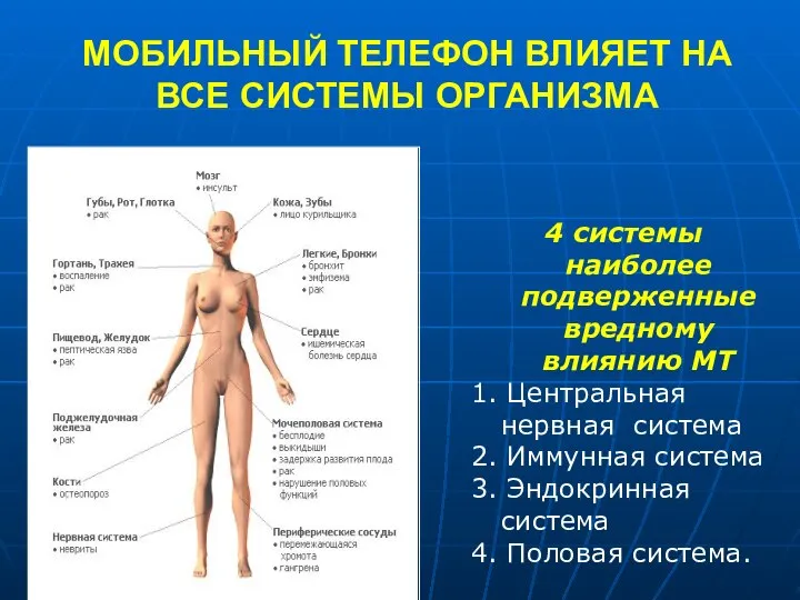 МОБИЛЬНЫЙ ТЕЛЕФОН ВЛИЯЕТ НА ВСЕ СИСТЕМЫ ОРГАНИЗМА 4 системы наиболее подверженные