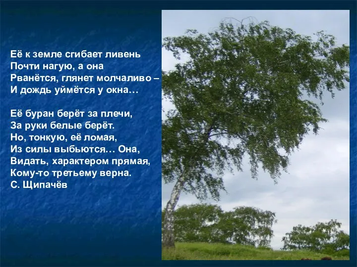 Её к земле сгибает ливень Почти нагую, а она Рванётся, глянет