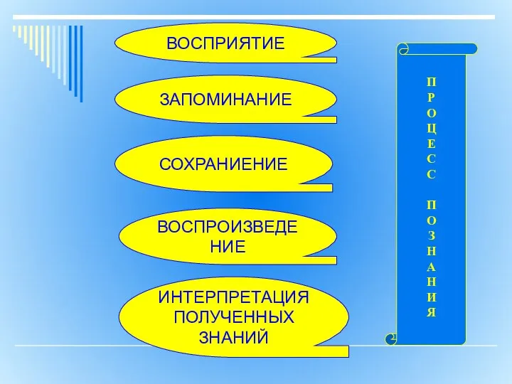 ВОСПРИЯТИЕ ЗАПОМИНАНИЕ СОХРАНИЕНИЕ ВОСПРОИЗВЕДЕНИЕ П Р О Ц Е С С