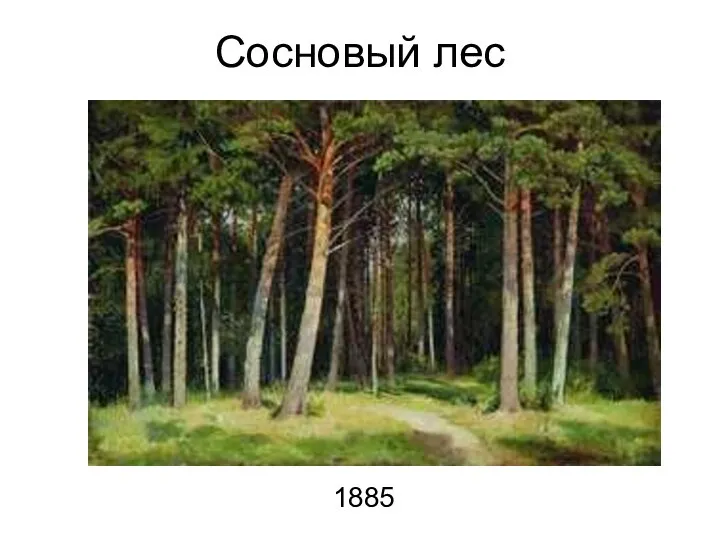 Сосновый лес 1885