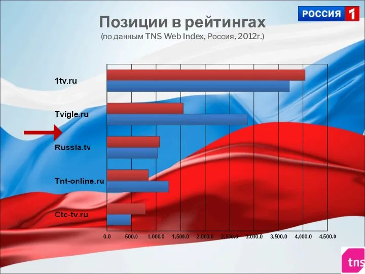 Позиции в рейтингах (по данным TNS Web Index, Россия, 2012г.)