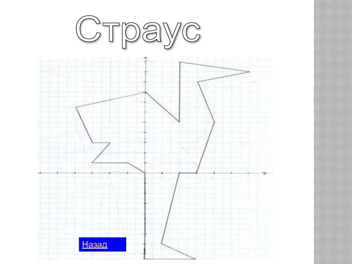 Страус Назад