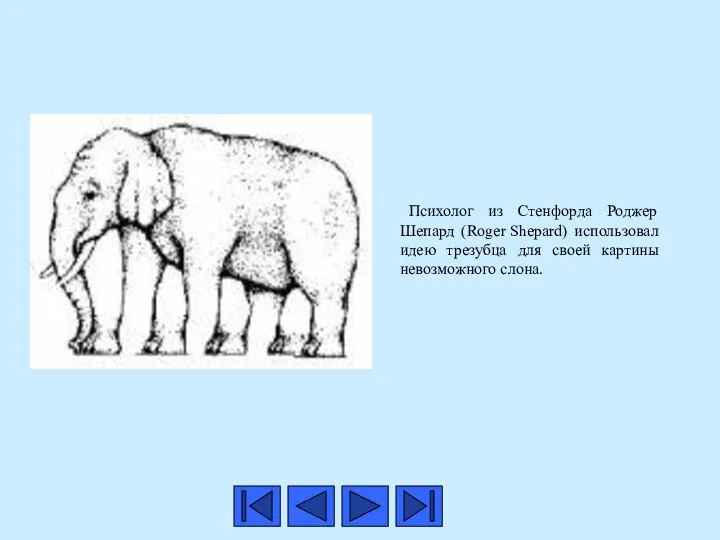 Психолог из Стенфорда Роджер Шепард (Roger Shepard) использовал идею трезубца для своей картины невозможного слона.