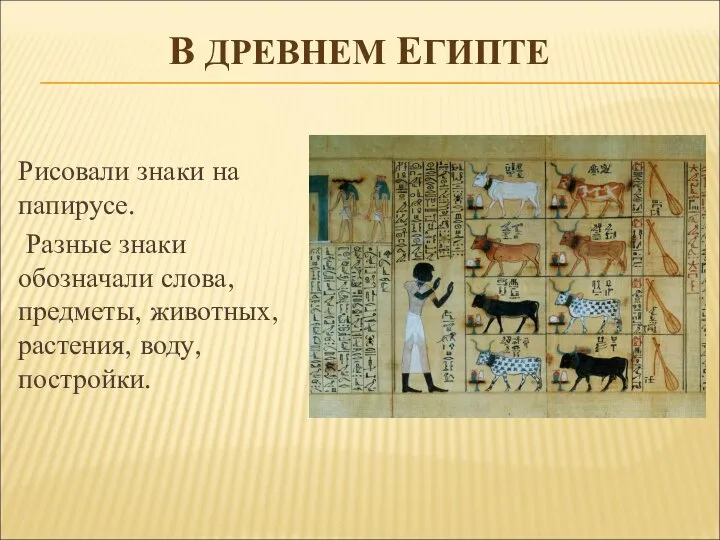 В ДРЕВНЕМ ЕГИПТЕ Рисовали знаки на папирусе. Разные знаки обозначали слова, предметы, животных, растения, воду, постройки.