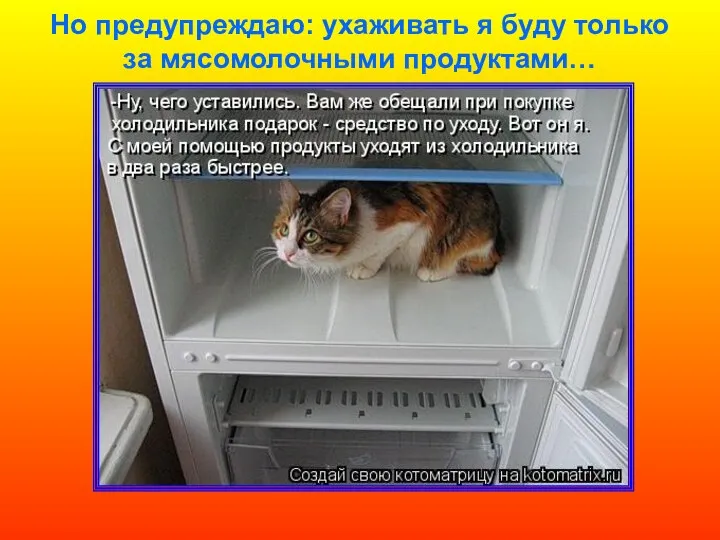 Но предупреждаю: ухаживать я буду только за мясомолочными продуктами…