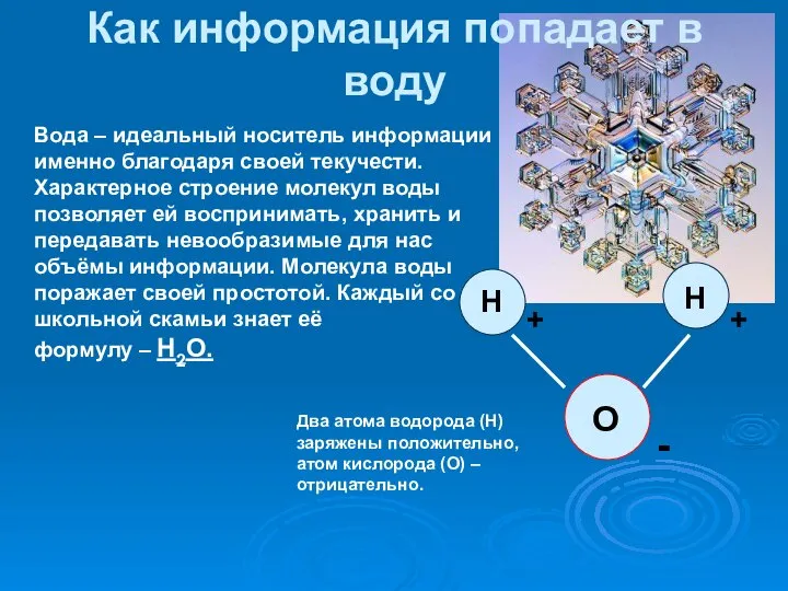 Как информация попадает в воду О Н Н + + -