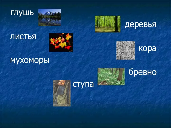 глушь деревья листья кора мухоморы бревно ступа