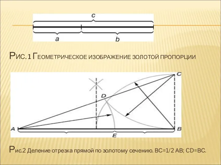 РИС. 1 ГЕОМЕТРИЧЕСКОЕ ИЗОБРАЖЕНИЕ ЗОЛОТОЙ ПРОПОРЦИИ Рис.2 Деление отрезка прямой по золотому сечению. ВС=1/2 АВ; CD=ВС.