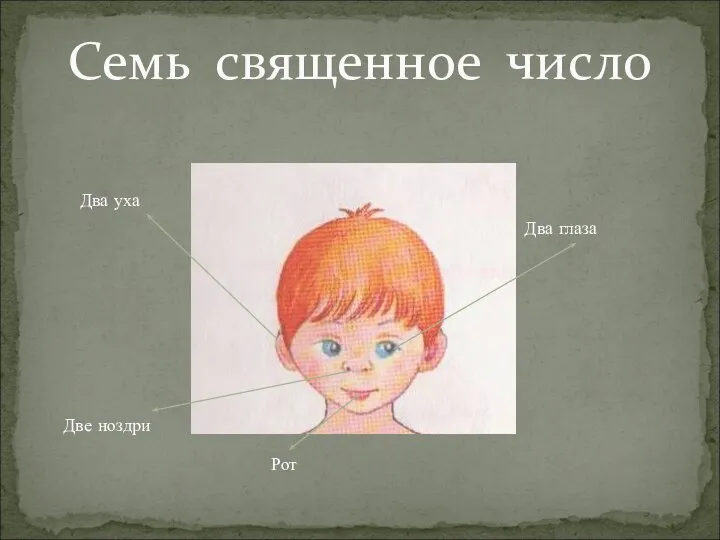 Семь священное число Два уха Два глаза Рот Две ноздри