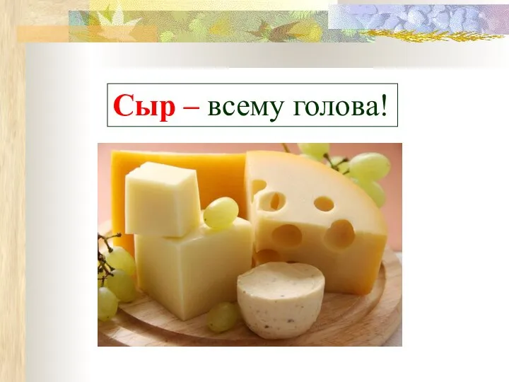 Сыр – всему голова!