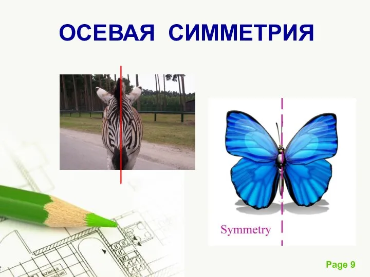 ОСЕВАЯ СИММЕТРИЯ