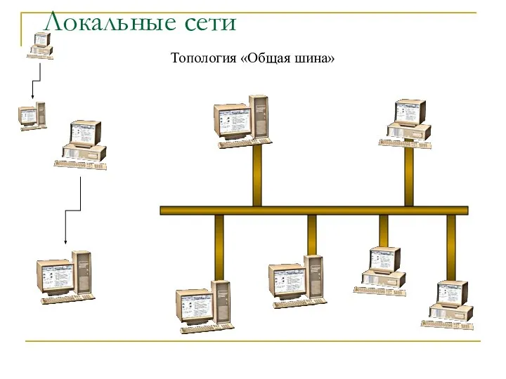 Локальные сети Топология «Общая шина»