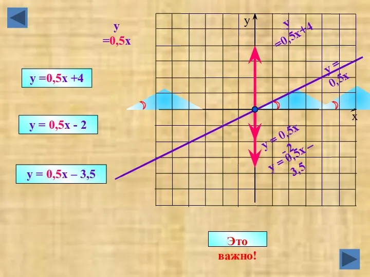 y = 0,5x y =0,5x+4 y = 0,5x - 2 y