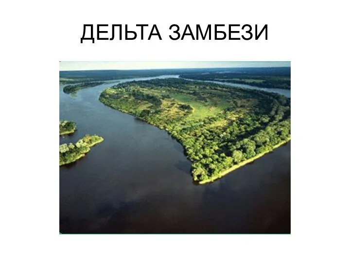 ДЕЛЬТА ЗАМБЕЗИ