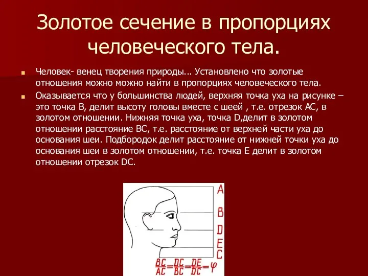 Золотое сечение в пропорциях человеческого тела. Человек- венец творения природы... Установлено