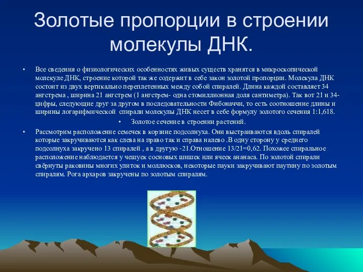 Золотые пропорции в строении молекулы ДНК. Все сведения о физиологических особенностях