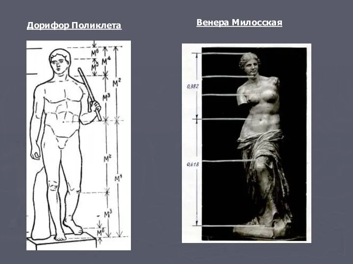 Дорифор Поликлета Венера Милосская