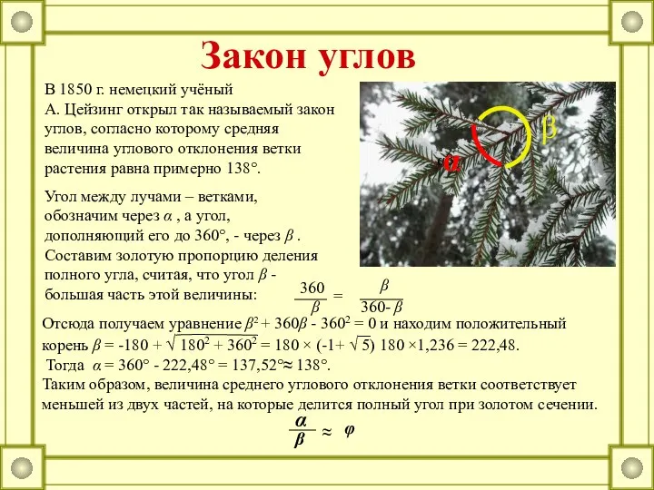 В 1850 г. немецкий учёный А. Цейзинг открыл так называемый закон