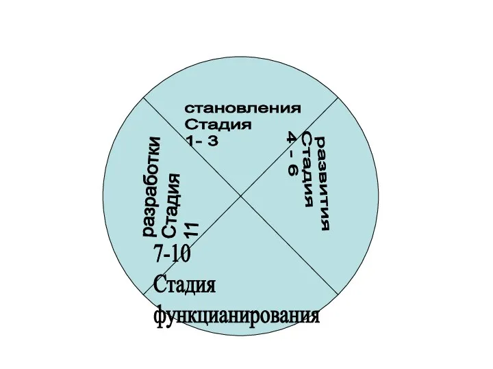 становления Стадия 1- 3 развития Стадия 4 - 6 7-10 Стадия функцианирования разработки Стадия 11