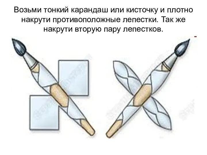 Возьми тонкий карандаш или кисточку и плотно накрути противоположные лепестки. Так же накрути вторую пару лепестков.