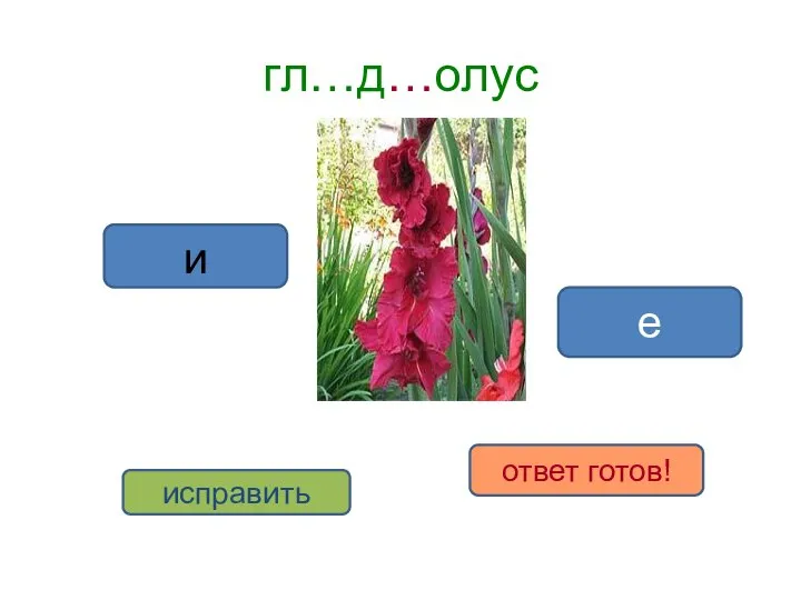 гл…д…олус и е исправить ответ готов!