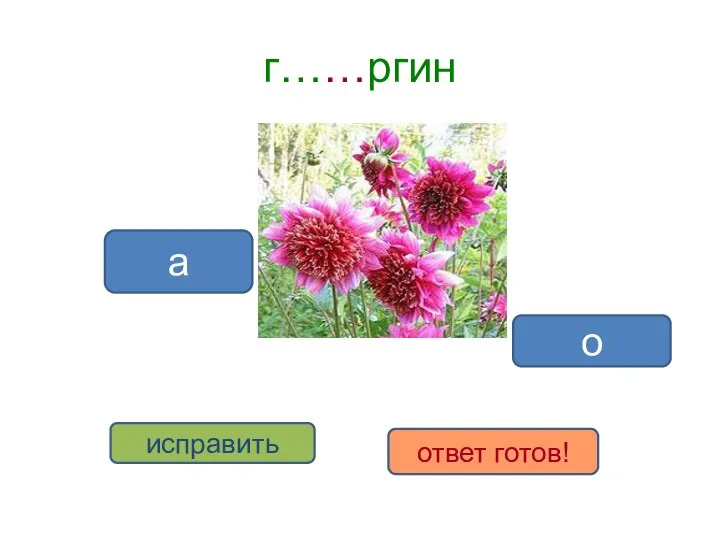 г……ргин а о исправить ответ готов!