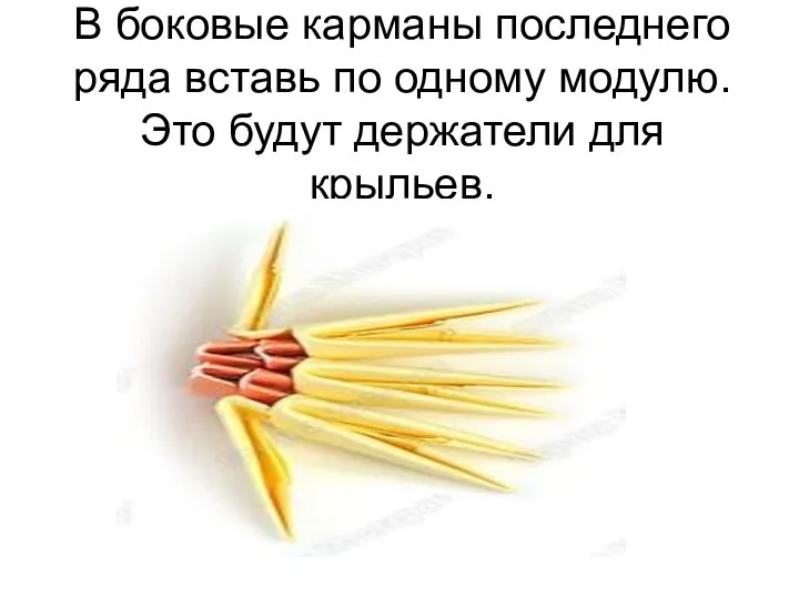 В боковые карманы последнего ряда вставь по одному модулю. Это будут держатели для крыльев.