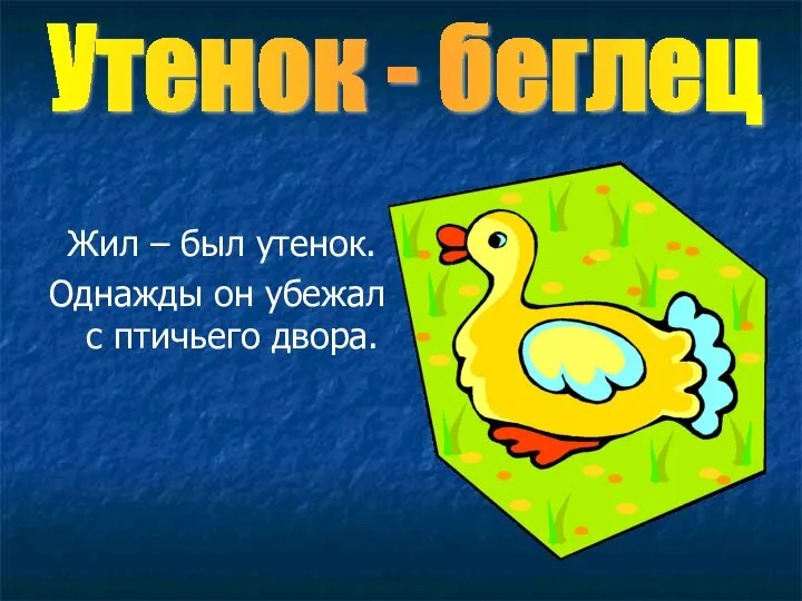 Жил – был утенок. Однажды он убежал с птичьего двора. Утенок - беглец