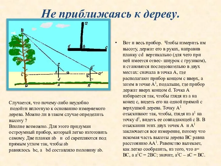 Не приближаясь к дереву. Вот и весь прибор. Чтобы измерить им