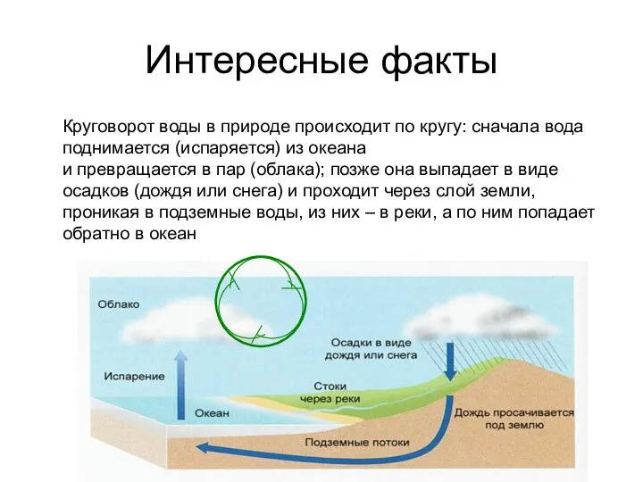 Интересные факты Круговорот воды в природе происходит по кругу: сначала вода