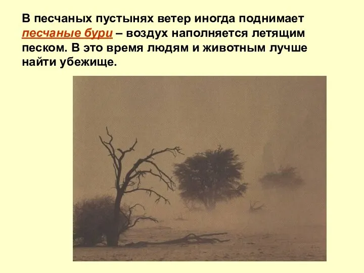 В песчаных пустынях ветер иногда поднимает песчаные бури – воздух наполняется