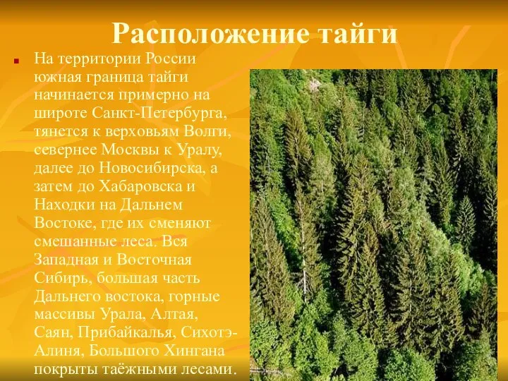 Расположение тайги На территории России южная граница тайги начинается примерно на