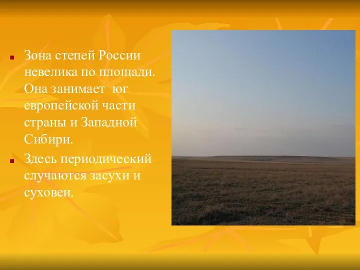 Зона степей России невелика по площади. Она занимает юг европейской части